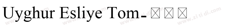 Uyghur Esliye Tom字体转换